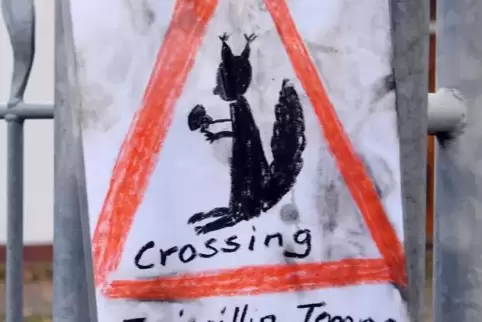 Achtung, Eichhörnchen!
