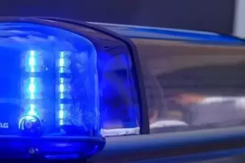 Über die Rückseite stiegen Einbrecher an Silvester in ein Wohnhaus in Billigheim-Ingenheim ein. 