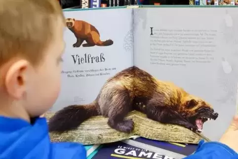 Kinder können beim Lesen die Welt entdecken.