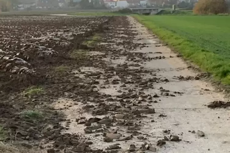 Z&uuml;gig wieder gereinigt: der Weg an der Postbr&uuml;cke.