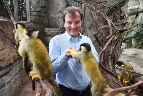 im ExotenhausMatthias Reinschmidt, Zoodirektor von Karlsruhe, füttert im Exotenhaus ein Totenkopfäffchen.