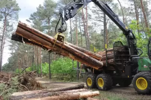 Entastete Kiefernstämme werden für die Kunden am Wegrand abgelegt.