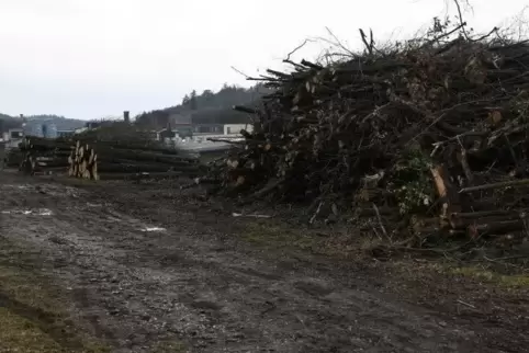 Zwischen den Holzstapeln ist im Hintergrund das Oerlikon-Gelände zu erkennen.