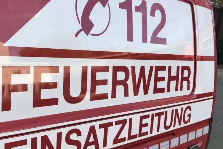 50 Mann aus vier Gemeinden rückten in neun Fahrzeugen zur vermeintlichen Brandstelle in Wachenheim aus. 