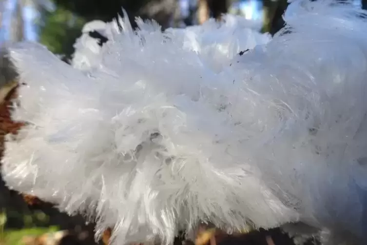 Haar-Eis