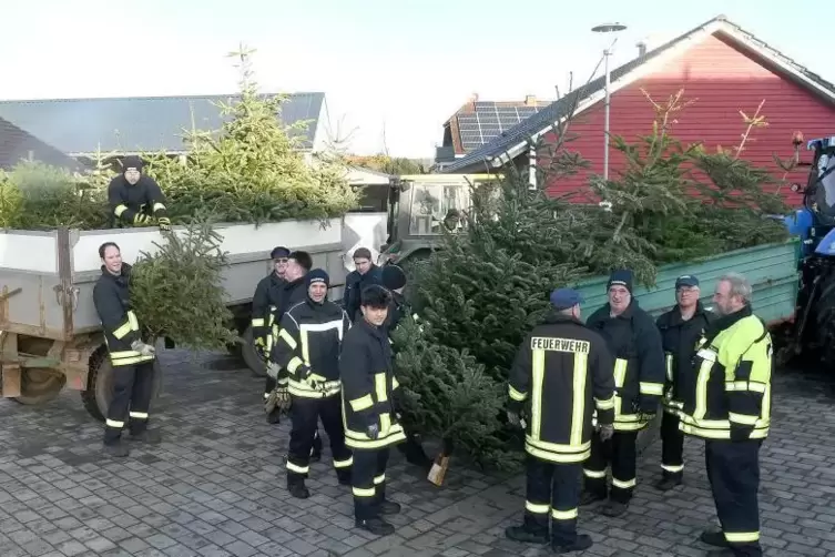 Imposanter Anblick: Die Ausbeute der Bolander Feuerwehr bei der Weihnachtsbaum-Sammelaktion. Die Wehrleute haben beim Besuch der