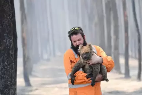 Viele Tiere sind auf menschliche Hilfe angewiesen.