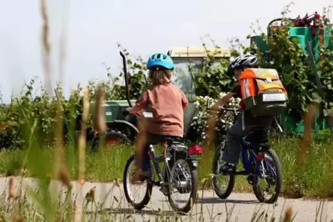 Entscheidend: Wie weit ist der Weg zur Schule?