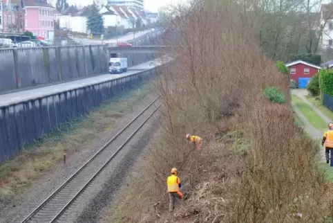 Die Bahn lässt Hecken und Bäume entlang der Gleise zurückschneiden.