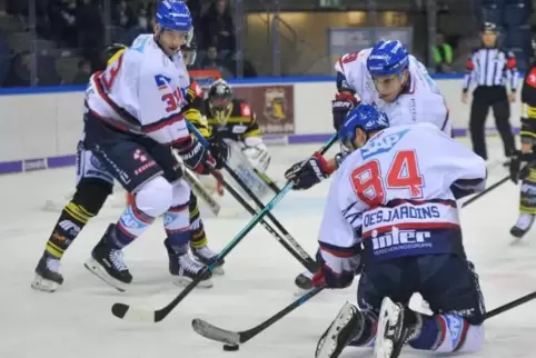 Adler Andrew Desjardins erobert die Scheibe beim Bully. 