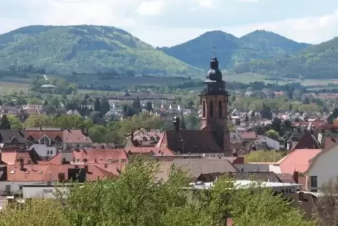 In Landau hat es in der Nacht ein leichtes Beben gegeben.