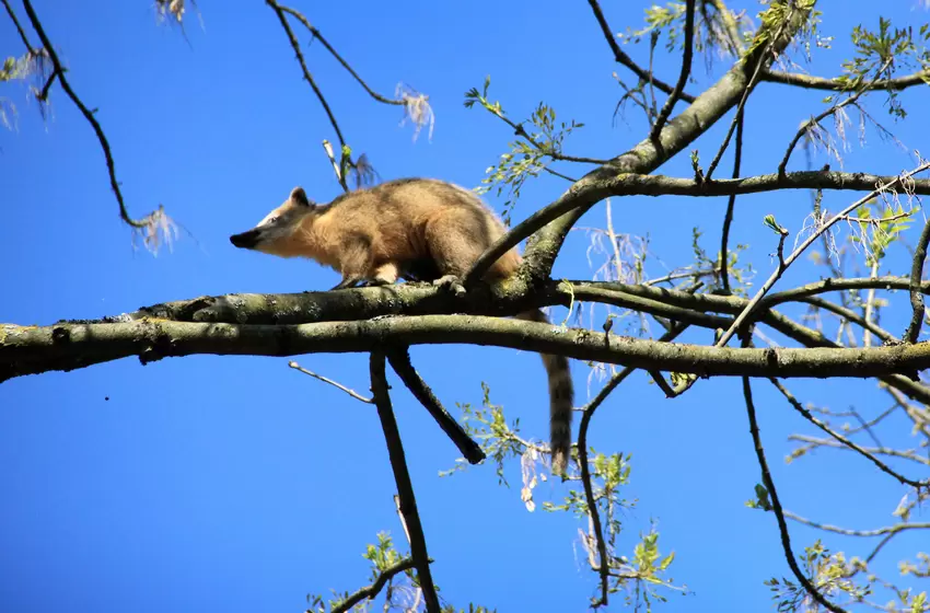 Tierpark_Donnersberg_dpa.JPG