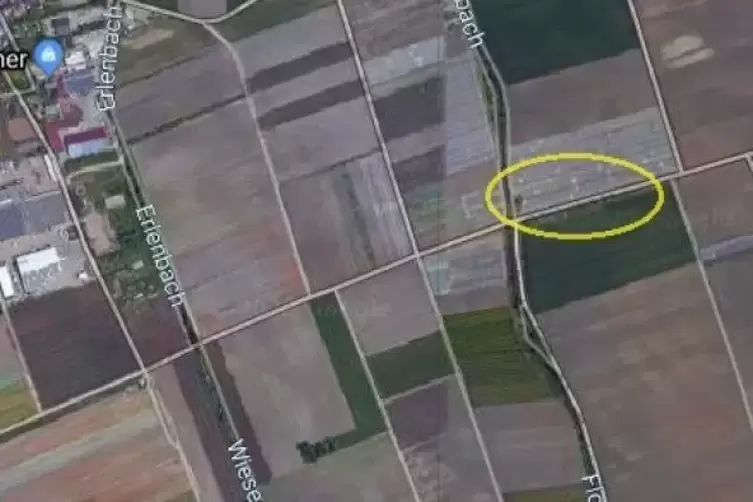 Besagter Gr&uuml;nstreifen liegt am Feldweg zwischen Mutterstadt und Fu&szlig;g&ouml;nheim.