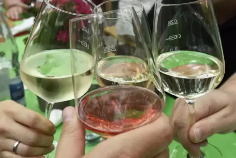 wein_weinanbau_reben_weinfest_6918.JPG