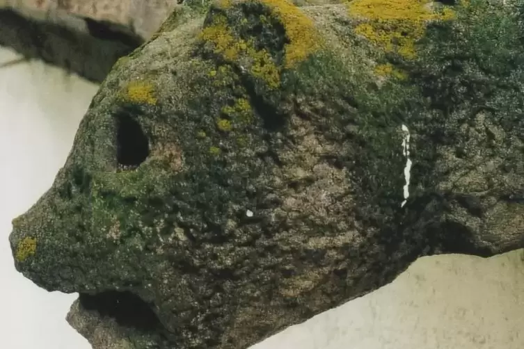 ... und ein B&auml;r. Weil den Figuren die f&uuml;r sp&auml;tere gotische Wasserspeier typischen K&ouml;rper fehlen, gehen Forscher von einer sehr f