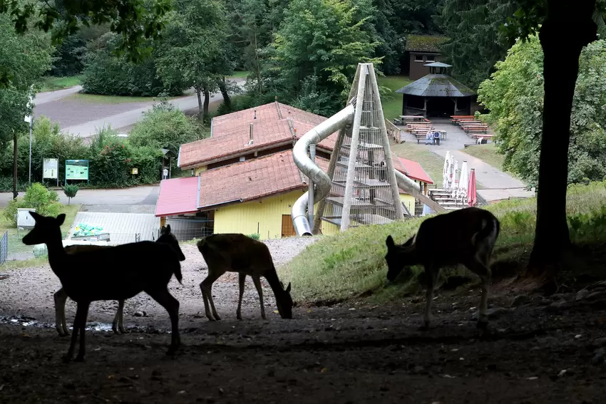 wildpark.JPG