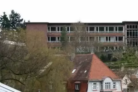 Die IGS informiert über den Weg zum Abitur.