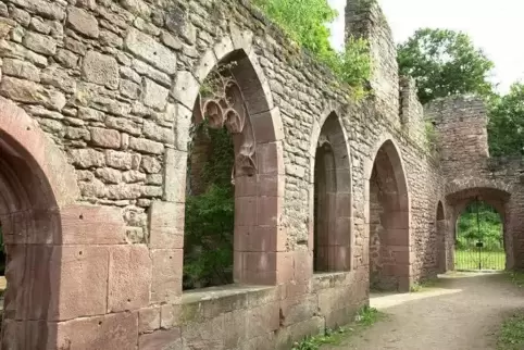 Die Klosterruine Limburg.