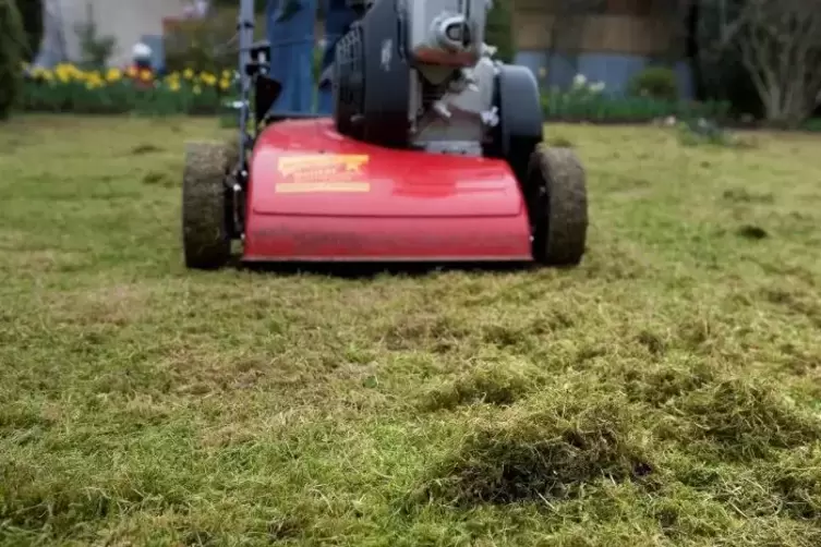 Beispiele f&uuml;r Nachbarschaftshilfe: Rasen m&auml;hen, ...