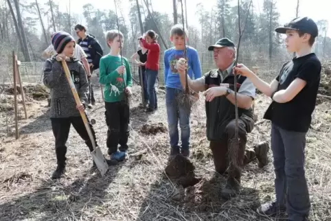 Rüdiger Sinn pflanzt mit Kindern Edelkastanien. Die sollen trockenen Sommern und damit dem Klimawandel besser standhalten.