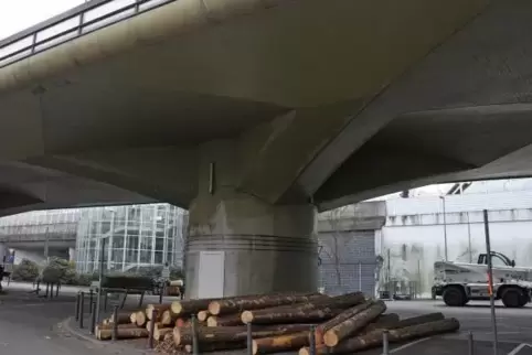 Die ersten von insgesamt 2500 benötigten Baustämmen für die Stützkonstruktion wurden bereits am Montag angeliefert.
