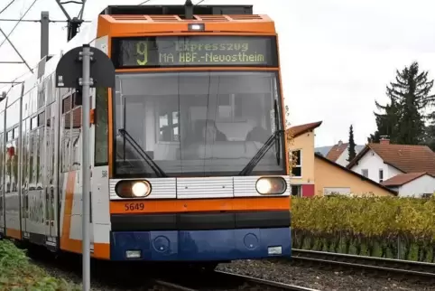 Die Linie 9 der Rhein-Haardtbahn hält seit Anfang Januar wieder in Friedelsheim.