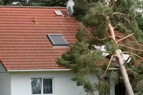 Wenn ein Baum im Sturm umknickt und auf ein Haus fällt, greift die Wohngebäudepolice. Wichtig ist, den Schaden unverzüglich der 
