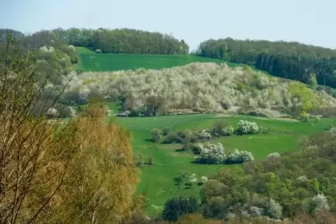 Das Glantal bei Ulmet im April 2018. 