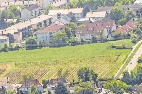 Hier soll in einigen Monaten der Startschuss für den Bau zweier neuer Einkaufsmärkte gegeben werden: Zwischen Grünstadt (oben) u