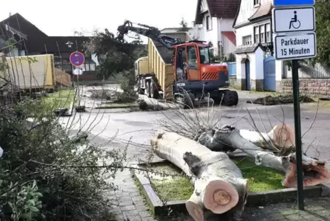 Die Bäume mussten wegen des Neubaus und der Verlegung von Leitungen weichen.