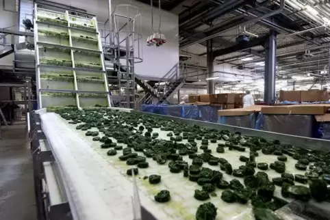 Rund 20.000 Tonnen Gemüse im Jahr verarbeitet Frosta im Werk in Bobenheim-Roxheim.