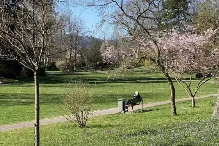 Zum Glück wieder erlaubt: Die kurzfristig gesperrten Parks wie hier der Goethepark in Landau dürfen allein, zu zweit oder mit de